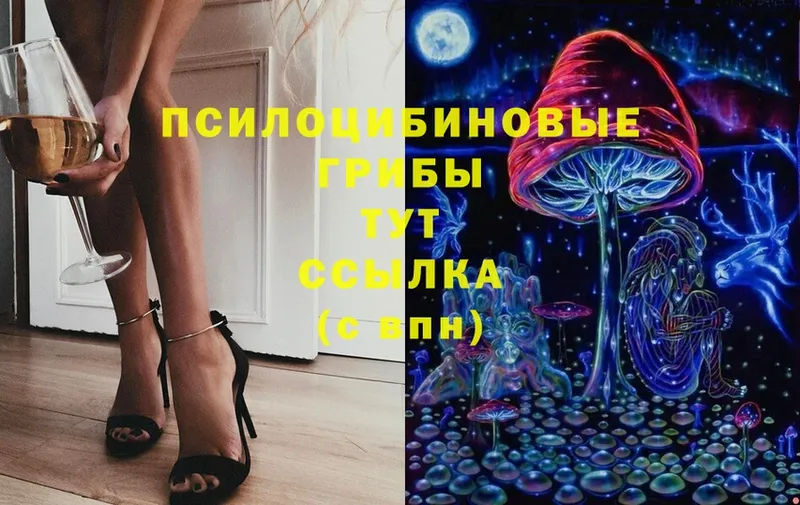 Галлюциногенные грибы MAGIC MUSHROOMS  Кольчугино 